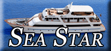 Sea Star
